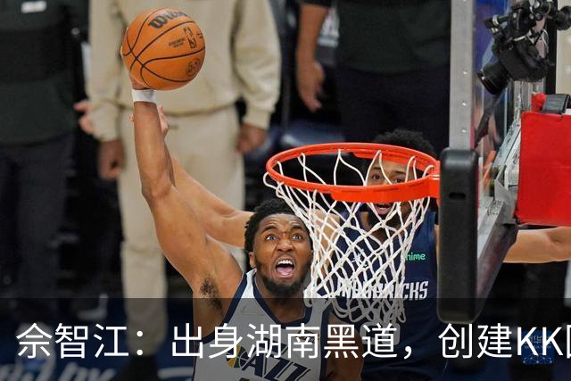 佘智江：出身湖南黑道，创建KK园区，他表哥成大佬司机娶小燕子