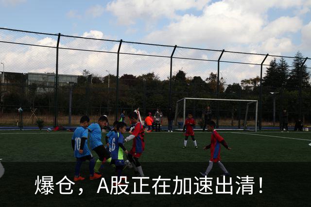爆仓，A股正在加速出清！